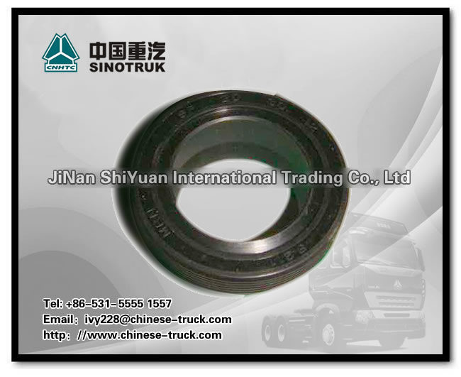 reinforced seal VG1540040022A